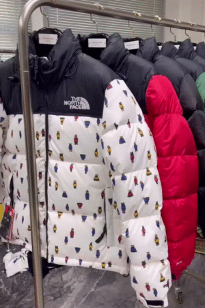 The North Face Infant 1996 Retro Nuptse Down Jacket – Cozy Winter Warmth for Kids